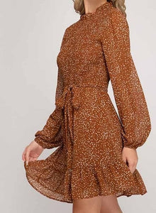 Cinnamon Leopard Print High Neck Long Sleeve Flowing Dress