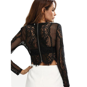 Scalloped Lace Long Sleeve Cropped Top