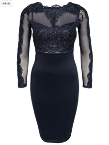 Kimmy Illusion Lace Cocktail Party Dress